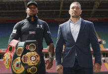 Anthony Joshua vs Pulev